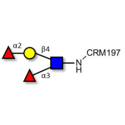 Lewis y (Ley) tetraose grafted on CRM197