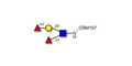 Lewis y (Ley) tetraose grafted on CRM197