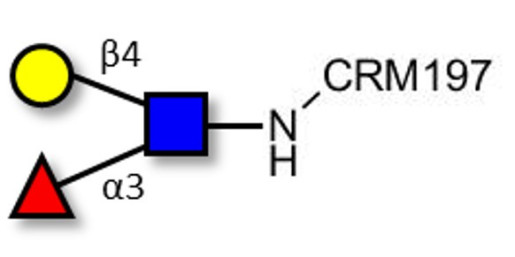 Lewis x (Lex) triose grafted on CRM197 - SSEA-1 ; CD15 ; Lewis X trisaccharide