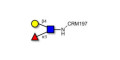 Lewis x (Lex) triose grafted on CRM197 - SSEA-1 ; CD15 ; Lewis X trisaccharide
