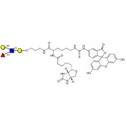 Lewis x (Lex) tetraose linked to biotin and fluorescein (Linker-BT-FLUO A)