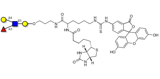 Lewis x (Lex) tetraose linked to biotin and fluorescein (Linker-BT-FLUO A)