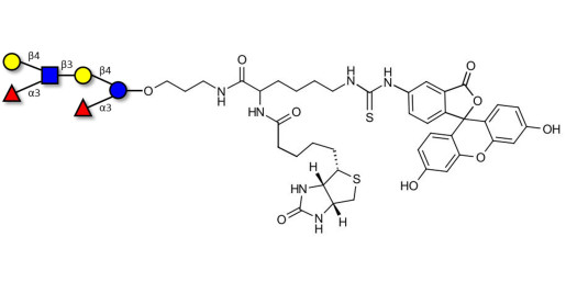Lewis x (Lex) hexaose / Lacto-N-neodifucohexaose II (LNnDFH II) linked to biotin and fluorescein (Linker-BT-FLUO A) - Lewis X hexasaccharide; Lacto-N-difucohexaose III ; LNDFH III