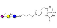 3'-Sialyllactose-β-Aminopro...