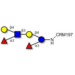 Lewis x (Lex) hexaose / Lacto-N-neodifucohexaose II (LNnDFH II) grafted on CRM197