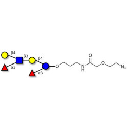 Lewis x (Lex) hexaose / Lacto-N-neodifucohexaose II (LNnDFH II) with terminal azide (Linker-N3 B)