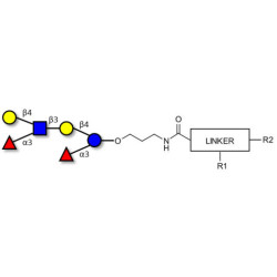 Lewis x (Lex) hexaose / Lacto-N-neodifucohexaose II (LNnDFH II) with customizable dual functionalization 