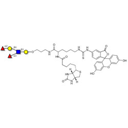 Lewis y (Ley) pentaose linked to biotin and fluorescein (Linker-BT-FLUO A)