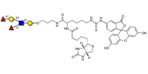 Lewis y (Ley) pentaose linked to biotin and fluorescein (Linker-BT-FLUO A)