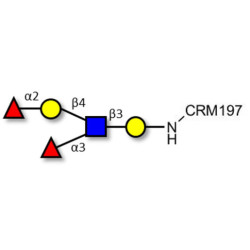 Lewis y (Ley) pentaose grafted on CRM197