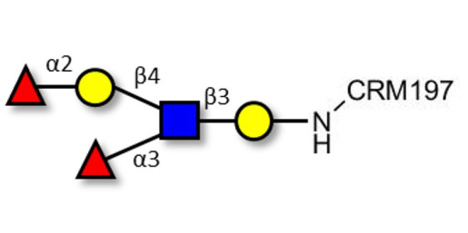 Lewis y (Ley) pentaose grafted on CRM197