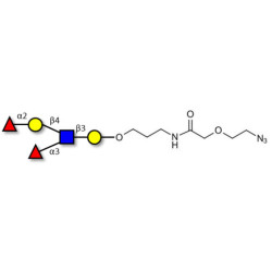 Lewis y (Ley) pentaose with terminal azide (Linker-N3 B)