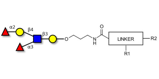 Lewis y (Ley) pentaose with customizable dual functionalization 