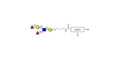 Lewis y (Ley) pentaose with customizable dual functionalization 