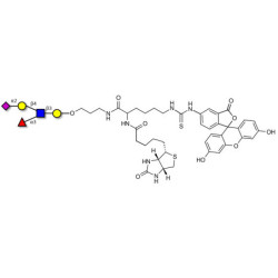 Sialyl Lewis x (sLex) pentaose linked to biotin and fluorescein (Linker-BT-FLUO A)