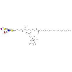 Sialyl Lewis x (sLex) pentaose linked to biotin and stearic chain (Linker-BT-STEA A)