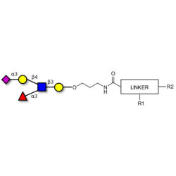 Sialyl Lewis x (sLex) pentaose with customizable dual functionalization 