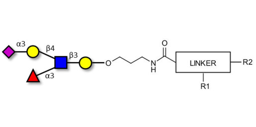 Sialyl Lewis x (sLex) pentaose with customizable dual functionalization 