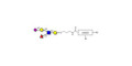 Sialyl Lewis x (sLex) pentaose with customizable dual functionalization 