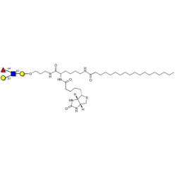 Lewis a (Lea) tetraose linked to biotin and stearic chain (Linker-BT-STEA A)