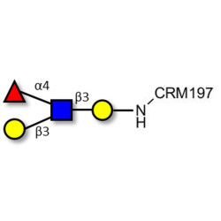 Lewis a (Lea) tetraose grafted on CRM197