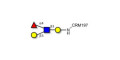 Lewis a (Lea) tetraose grafted on CRM197