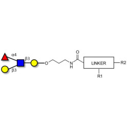 Lewis a (Lea) tetraose with customizable dual functionalization 