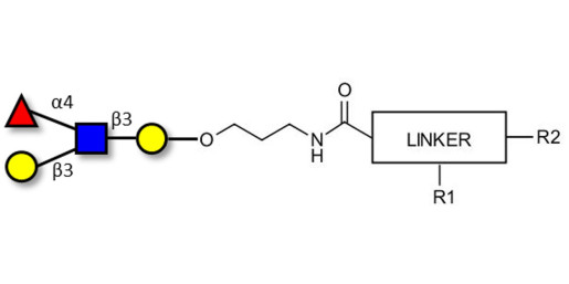 Lewis a (Lea) tetraose with customizable dual functionalization 