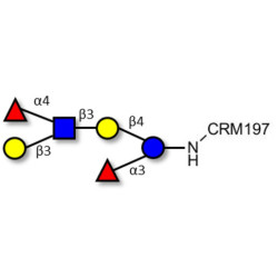 Lewis a (Lea) hexaose / Lacto-N-difucohexaose II (LNDFH II) grafted on CRM197