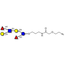 Lewis a (Lea) hexaose / Lacto-N-difucohexaose II (LNDFH II) with terminal azide (Linker-N3 B)
