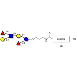 Lewis a (Lea) hexaose / Lacto-N-difucohexaose II (LNDFH II) with customizable dual functionalization 