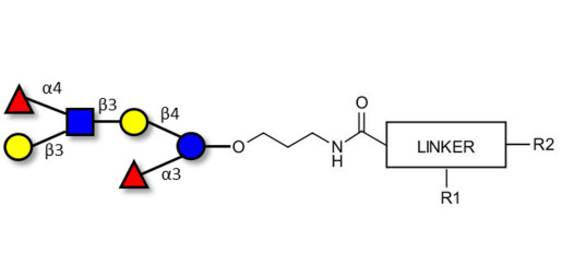 Lewis a (Lea) hexaose / Lacto-N-difucohexaose II (LNDFH II) with customizable dual functionalization 