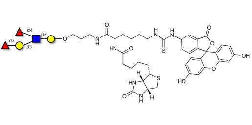 Lewis b (Leb) pentaose linked to biotin and fluorescein (Linker-BT-FLUO A)