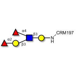 Lewis b (Leb) pentaose grafted on CRM197