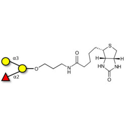 Blood group B antigen triose linked to biotin (Linker-BT B)