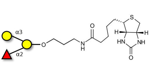Blood group B antigen triose linked to biotin (Linker-BT B)