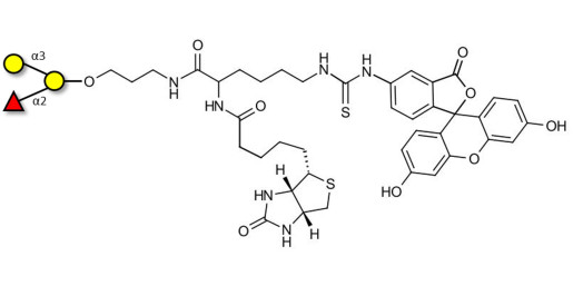 Blood group B antigen triose linked to biotin and fluorescein (Linker-BT-FLUO A)