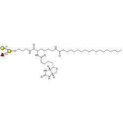 Blood group B antigen triose linked to biotin and stearic chain (Linker-BT-STEA A)