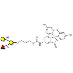 Blood group B antigen triose linked to fluorescein (Linker-FLUO A)