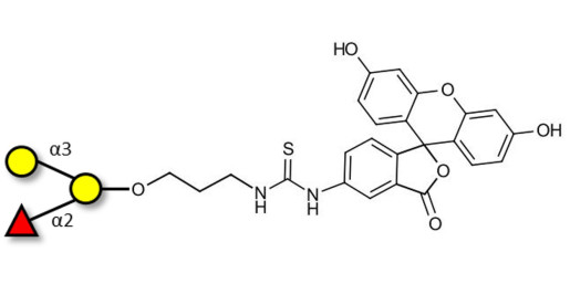 Blood group B antigen triose linked to fluorescein (Linker-FLUO A)