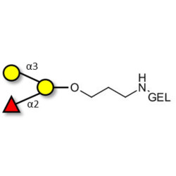 Blood group B antigen triose grafted on gel for affinity chromatography (Linker-GEL B)