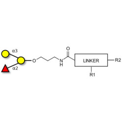 Blood group B antigen triose with customizable dual functionalization 