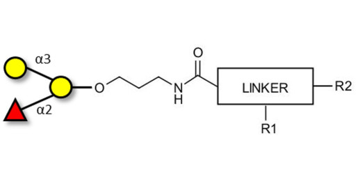 Blood group B antigen triose with customizable dual functionalization 