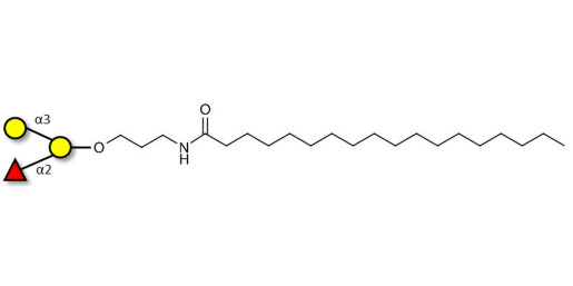 Blood group B antigen triose with stearic chain (Linker-STEA A)