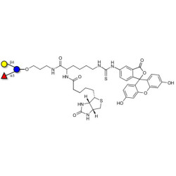 3-Fucosyllactose (3-FL) linked to biotin and fluorescein (Linker-BT-FLUO A)