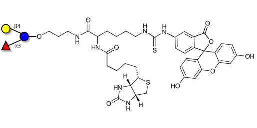 3-Fucosyllactose (3-FL) linked to biotin and fluorescein (Linker-BT-FLUO A)