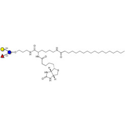 3-Fucosyllactose (3-FL) linked to biotin and stearic chain (Linker-BT-STEA A)