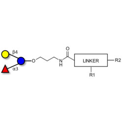 3-Fucosyllactose (3-FL) with customizable dual functionalization 