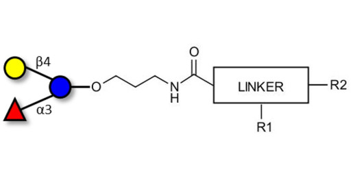 3-Fucosyllactose (3-FL) with customizable dual functionalization 
