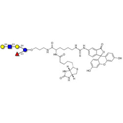 Lacto-N-fucopentaose VI (LNFP-VI) linked to biotin and fluorescein (Linker-BT-FLUO A)